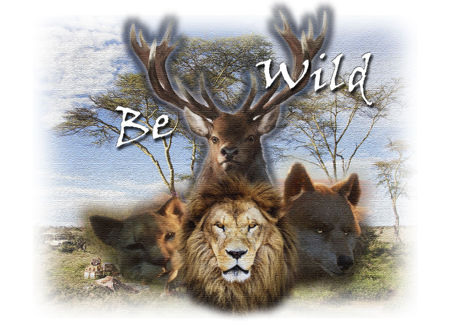 bewild